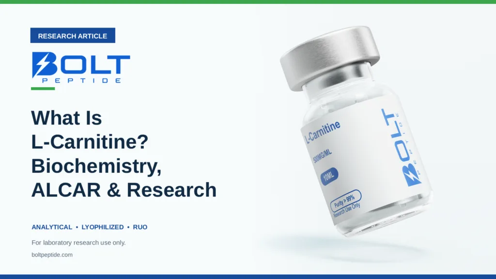 Bolt Peptide What Is L-Carnitine? Biochemistry, ALCAR & Research research article banner