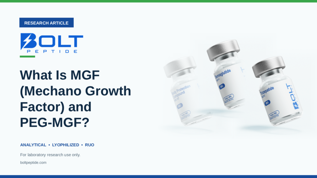 Bolt Peptide What Is MGF (Mechano Growth Factor) and PEG-MGF? research article banner