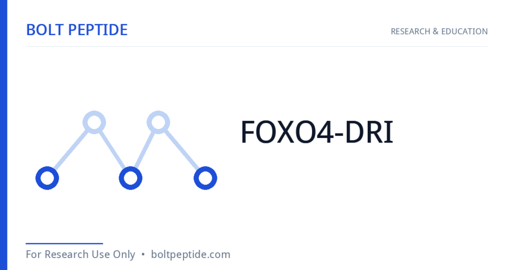 FOXO4-DRI molecular structure — Bolt Peptide research overview