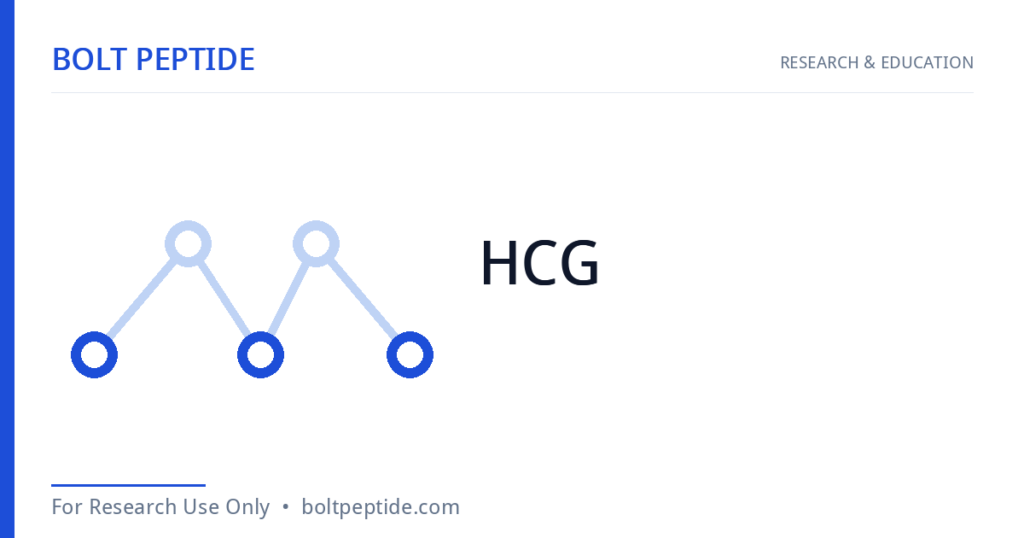 HCG molecular structure — Bolt Peptide research overview