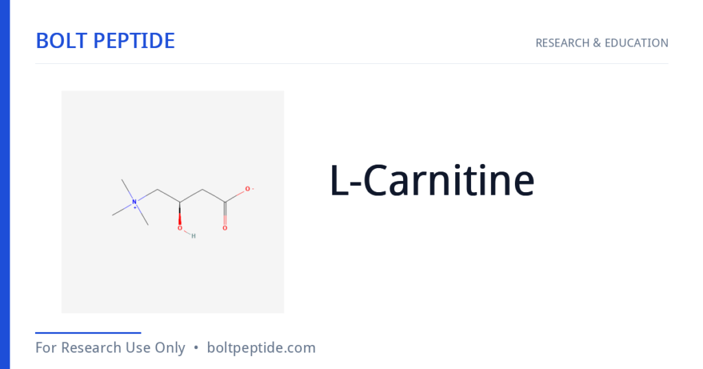 L-Carnitine molecular structure — Bolt Peptide research overview