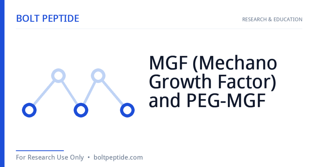MGF (Mechano Growth Factor) and PEG-MGF molecular structure — Bolt Peptide research overview
