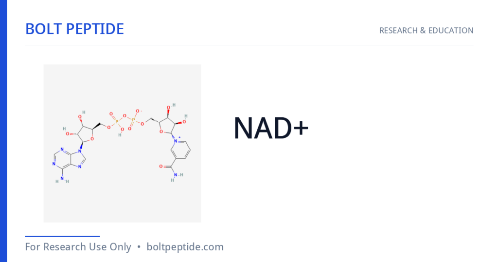 NAD+ molecular structure — Bolt Peptide research overview