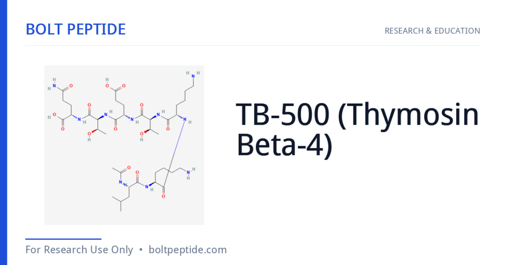 TB-500 (Thymosin Beta-4) molecular structure — Bolt Peptide research overview